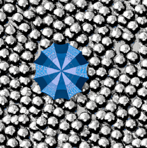 Parapluies gris et un bleu